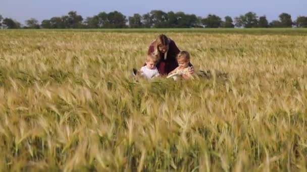 赤いドレスを着たかわいい女性は 青い夏の空の下で黄色い小麦畑に座っている子供の幼児の娘と息子に話します — ストック動画