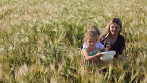 白い帽子で熟した小麦のスパイクを持つ若い女の子は 晴れた夏の日に母と兄の前でフィールドに沿って歩きます — ストック動画