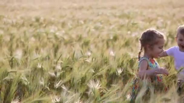 幸せな家族のお母さん幼児の息子と娘は草原や木々のクローズアップに対して夏の太陽によって照らされた熟した小麦畑に抱きつきます — ストック動画