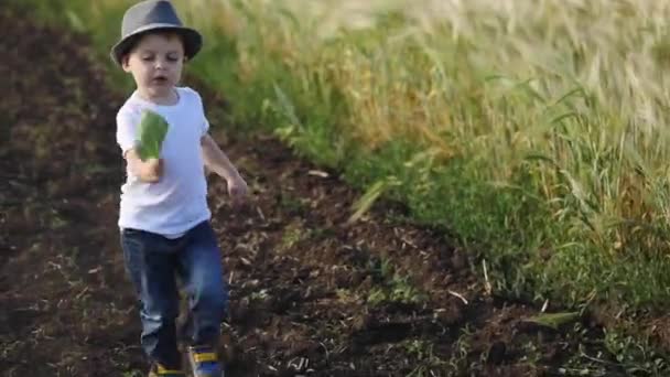 穿着白色T恤和蓝色牛仔裤的小男孩在夏天试图沿着黄麦田附近的黑路奔跑 — 图库视频影像