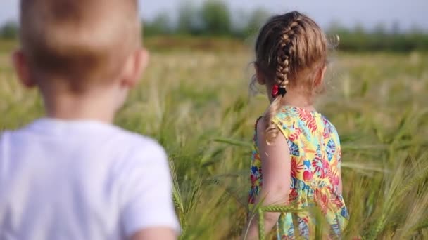 ぼやけた少年は 夏のスローモーション裏側ビューで熟した小麦畑にブロンドの三つ編みを持つ若い楽しい女の子に来ます — ストック動画
