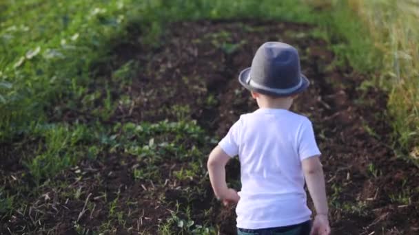 有趣的幼儿男孩在黑色夏季帽子运行沿犁地面条之间领域慢动作关闭背面视图 — 图库视频影像