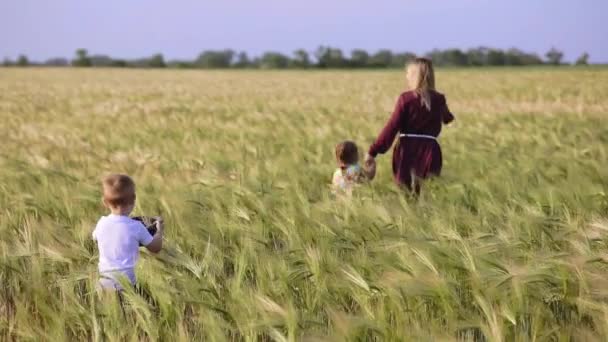 ゆるい流れるフェアヘアを持つ女性は 夏のスローモーションで黄色の熟した小麦畑に沿って小さな子供たちと一緒にさまよう — ストック動画