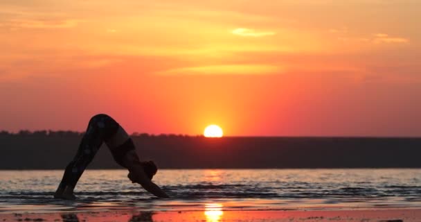 苗条和灵活的年轻女子练习瑜伽狗Asana和伸展肌肉对美丽的设置太阳盘在海上 — 图库视频影像