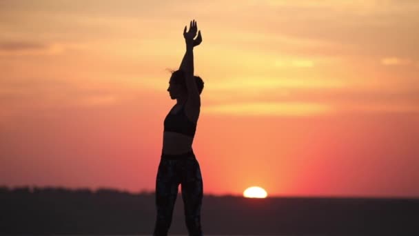 Silhouette Dame Mince Avec Queue Cheval Tient Avec Les Mains — Video