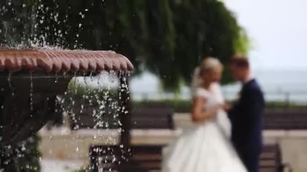 Casal de casamento desfocado em elegantes abraços e beijos — Vídeo de Stock