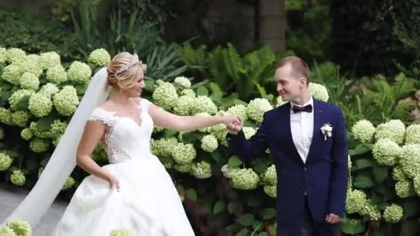 Pareja de boda paseos por el jardín y abrazos entre edificios — Vídeos de Stock