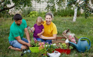 Mutlu aile birlikte bahçe ve doğa bakımı. Bitki lahanası ve toprak döllemek. Kailyard renkli parlak t-shirt Anne, baba ve küçük çocuk