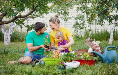 Mutlu aile birlikte bahçe ve doğa bakımı. Bitki lahanası ve toprak döllemek. Kailyard renkli parlak t-shirt Anne, baba ve küçük çocuk