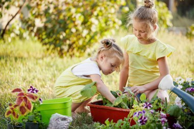İki Toddler kız yaz güneşli bir gün bahçede bitkiler Ekim