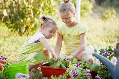 İki Toddler kız yaz güneşli bir gün bahçede bitkiler Ekim