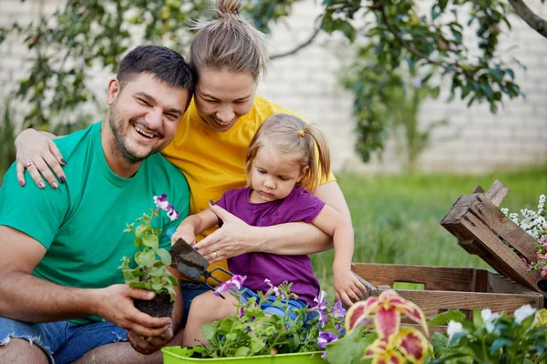 Happy family gardening together and taking care of nature. Plant sprouts and fertilize the ground. Mother, father and little child in colorful bright t-shirts in kailyard
