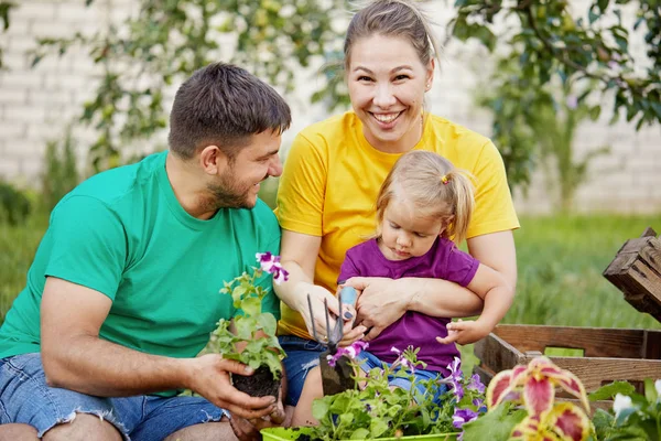 Happy family gardening together and taking care of nature. Plant sprouts and fertilize the ground. Mother, father and little child in colorful bright t-shirts in kailyard