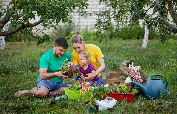 Keluarga Bahagia Berkebun Bersama Dan Merawat Alam Tanaman Tumbuh Dan — Stok Foto