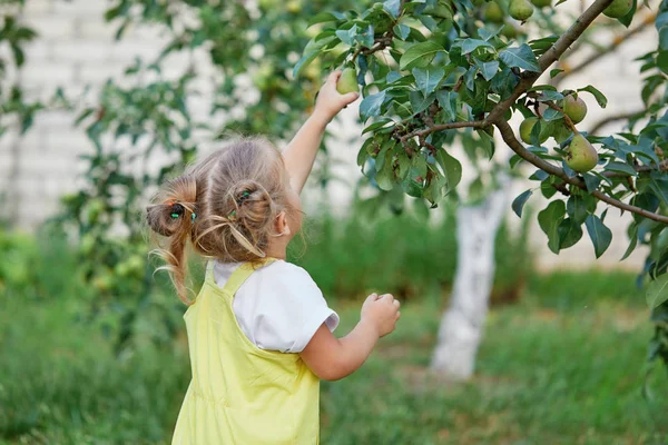 Милая Маленькая Девочка Играет Открытом Воздухе Солнечный День — стоковое фото