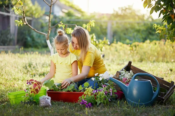 Mother Daughter Planting Plants Garden Summer Sunny Day — Stock Photo, Image
