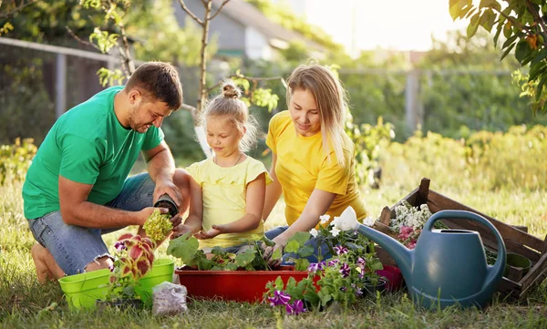 Happy family gardening together and taking care of nature. Plant sprouts and fertilize the ground. Hugging and having fun.