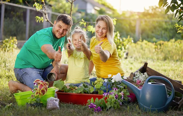 Happy family gardening together and taking care of nature. Plant sprouts and fertilize the ground. Hugging and having fun.