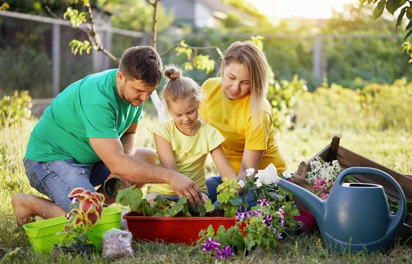 Famiglia Felice Giardinaggio Insieme Prendersi Cura Della Natura Pianta Germogli — Foto Stock