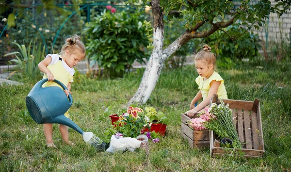 Dvě Batole Dívky Letním Slunovratu Zalétnou Rostliny Zahradě Malé Děti — Stock fotografie