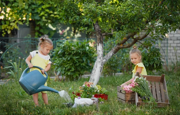 화창한 정원에서 식물을 급수하는 정원에서 도구와 아이들 — 스톡 사진