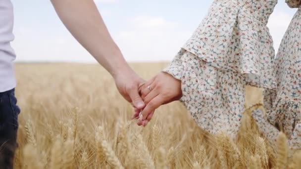 Ungt par går händerna över vete och går längs fält — Stockvideo