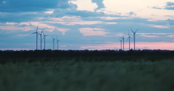 Natursköna Bilder Vindkraftverk Grönt Fält Twilight — Stockvideo