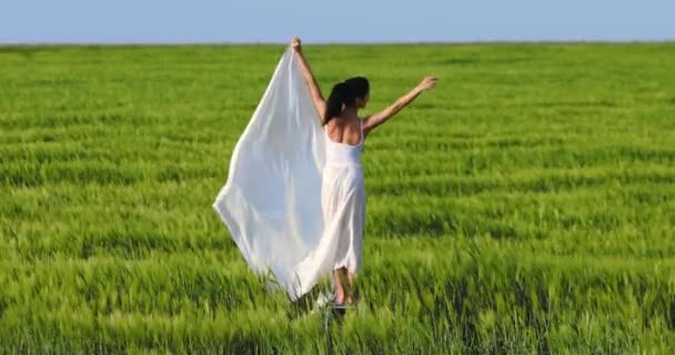 Metraje Hermosa Joven Bailando Campo Verde — Vídeos de Stock