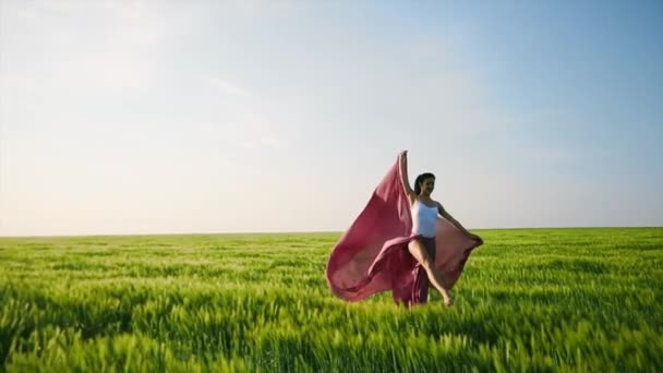Кадри Красивої Молодої Жінки Танцює Зеленому Полі — стокове відео