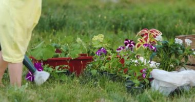 bahçede bitkiler sulama sevimli küçük kız görüntüleri