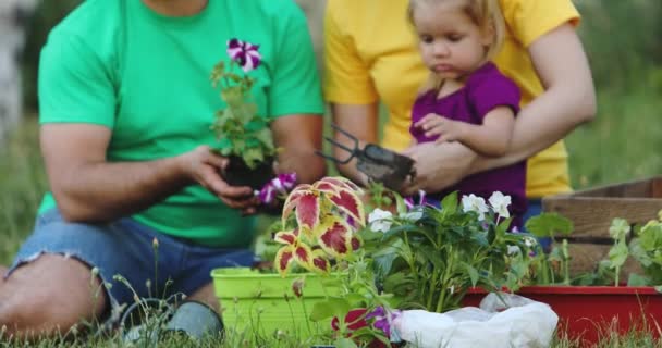 Beelden Van Ouders Dochter Planten Bloemen Tuin — Stockvideo