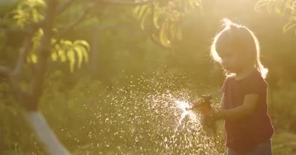 Metraje Niña Regando Plantas Jardín Atardecer — Vídeo de stock