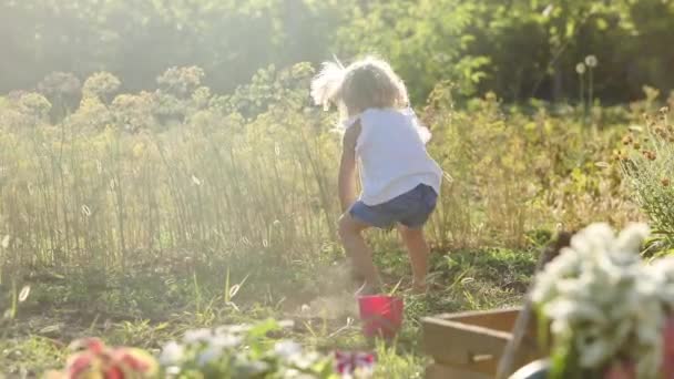 Footage Adorable Little Girl Playing Garden — Stock Video