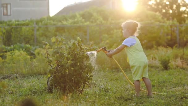 庭で植物に水を与える愛らしい小さな女の子の映像 — ストック動画
