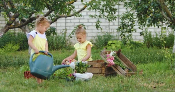 Filmagens Irmãs Pequenas Regando Flores Jardim — Vídeo de Stock