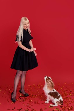 Kırmızı arka planda poz şık siyah parti elbise inanılmaz lüks baştan çıkarıcı kadın. trenler ve bir köpek ile oynar, Yeni Takımlar öğretir. sağlıklı sarı saçlar. Moda portresi. 
