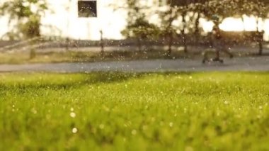 çocuk güneş ışığı ile aydınlatılmış fıskiyeler ile parkta scooter sürmek