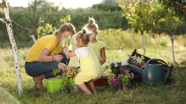 Mor med flickor växt blommor plantor i sommarträdgård — Stockvideo