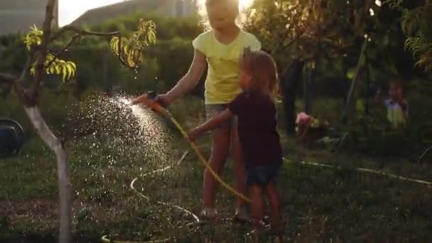 Schwestern gießen grünen Rasen mit Gartenschlauch im Hinterhof des Hauses — Stockvideo