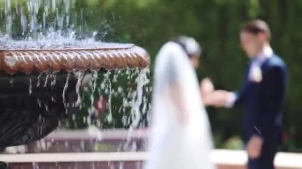 Casal casamento desfocado junta mãos e beijos no parque — Vídeo de Stock