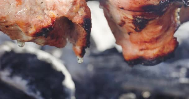 La grasa de la carne cae en llamas ardientes en la parrilla de barbacoa macro — Vídeo de stock