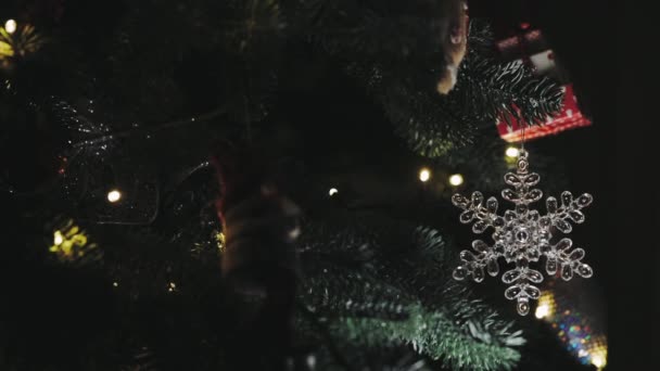 Jouet de flocon de neige en verre accroché à une branche d'arbre de Noël vert — Video