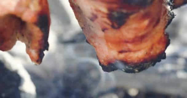 Grasa de carne cae en la parrilla de barbacoa con humo blanco macro — Vídeo de stock