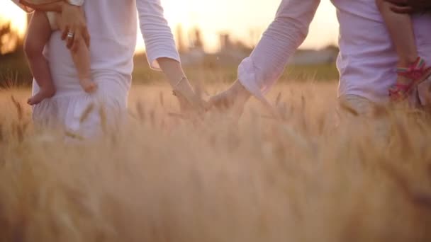 Hermosa pareja camina a lo largo de hermoso campo tocando trigo — Vídeos de Stock