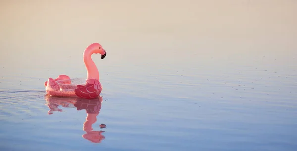 Надувной Розовый Фламинго Плавает Голубой Воде Море Продукты Летнего Отдыха — стоковое фото