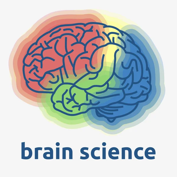 Ciencia del cerebro humano Tema Diseño Vector Gráfico — Archivo Imágenes Vectoriales