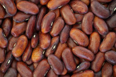 Kırmızı böbrek fasulyelerinin yoğun çeşitliliğine (Fhaseolus vulgaris) yakından bakıldığında, fasulyeler pürüzsüz ve parlak bir yüzeye sahiptir ve zengin kırmızımsı-kahverengi bir renge sahip tek bir şekildedirler..