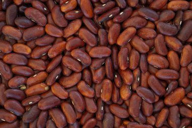 Kırmızı böbrek fasulyelerinin yoğun çeşitliliğine (Fhaseolus vulgaris) yakından bakıldığında, fasulyeler pürüzsüz ve parlak bir yüzeye sahiptir ve zengin kırmızımsı-kahverengi bir renge sahip tek bir şekildedirler..