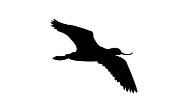 Uçan Andean avocet kuş silueti Tasarım ve Vektör İllüstrasyonu. 