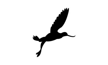 Uçan Andean avocet kuş silueti Tasarım ve Vektör İllüstrasyonu. 